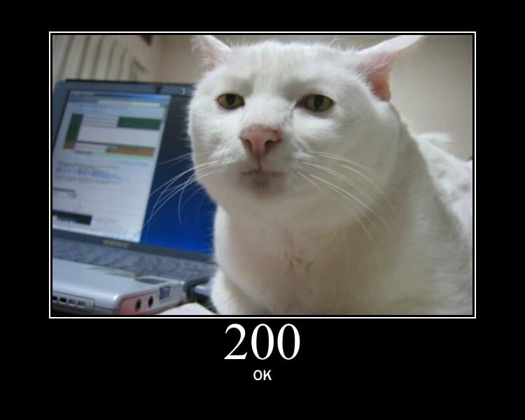 HTTP Status Cat 200 OK